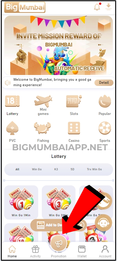 Big-Mumbai-Promotion-Button